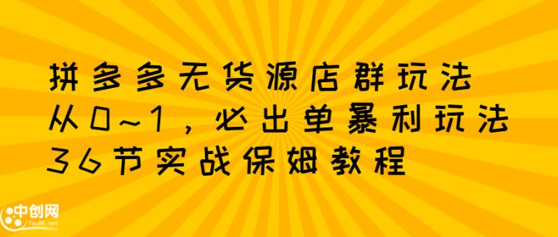 （2349期）拼多多无货源店群：从0~1，必出单10单利润1000+暴利玩法，36节实战保姆教程-副业宝典