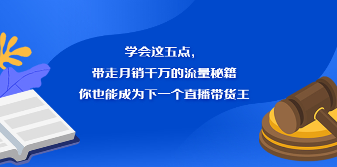 （2326期）学会这五点，带走月销千万的流量秘籍，你也能成为下一个直播带货王-副业宝典