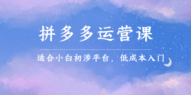 （2323期）拼多多运营课，适合小白初涉平台，低成本入门 创造销量和利润的方法-副业宝典