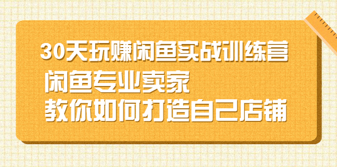 （2247期）30天玩赚闲鱼实战训练营，闲鱼专业卖家教你如何打造自己店铺-副业宝典