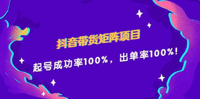 （2249期）抖音带货矩阵项目，起号成功率100%，出单率100%！-副业宝典