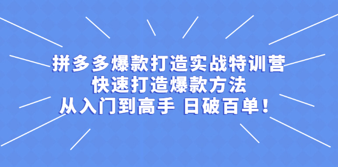 （2237期）拼多多爆款打造实战特训营：快速打造爆款方法，从入门到高手 日破百单-副业宝典