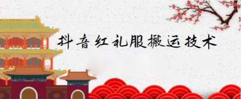（2235期）抖音红礼服搬运技术，最近很火的搬运方法，外面收大几百-副业宝典