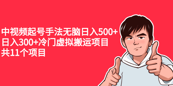 （2224期）中视频起号手法无脑日入500+日入300+冷门虚拟搬运项目（共11个项目）-副业宝典