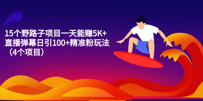 （2213期）15个野路子项目一天能赚5K+直播弹幕日引100+精准粉玩法（4个项目）-副业宝典