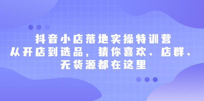 （2175期）抖音小店落地实操特训营，从开店到选品，猜你喜欢、店群、无货源都在这里-副业宝典