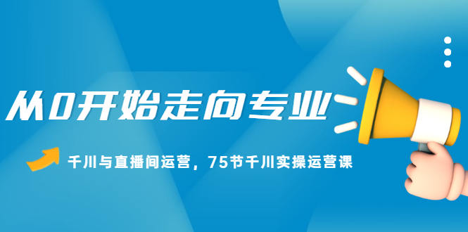 （2165期）从0开始走向专业，千川与直播间运营，75节千川实操运营课-副业宝典