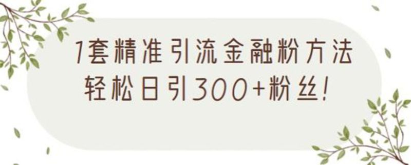 （2156期）1套精准引流金融粉方法，轻松日引300+粉丝【视频课程】-副业宝典