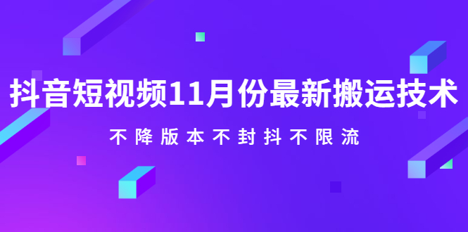 （2141期）抖音短视频11月份最新搬运技术，不降版本不封抖不限流！【视频课程】-副业宝典
