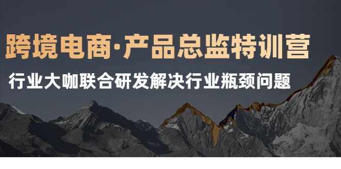 （2125期）跨境电商·产品总监特训营，行业大咖联合研发解决行业瓶颈问题-副业宝典