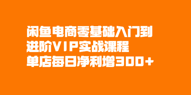 （2082期）闲鱼电商零基础入门到进阶VIP实战课程，单店每日净利增300+-副业宝典