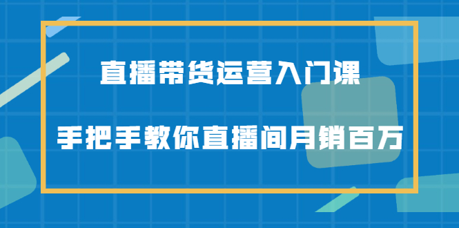 （2078期）直播带货运营入门课，手把手教你直播间月销百万-副业宝典