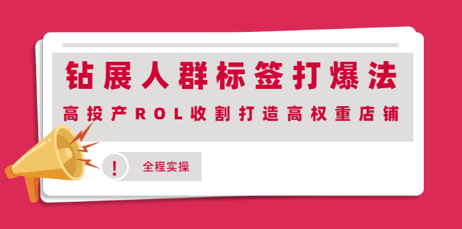 （2018期）钻展人群标签打爆法，高投产ROL收割打造高权重店铺(全程实操)-副业宝典
