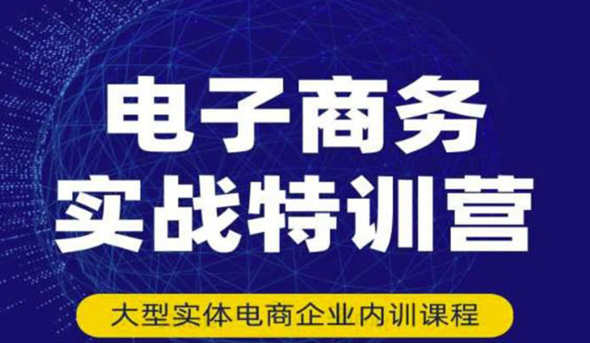 （3101期）电子商务实战特训营，全方位带你入门电商，308种方式玩转电商-副业宝典