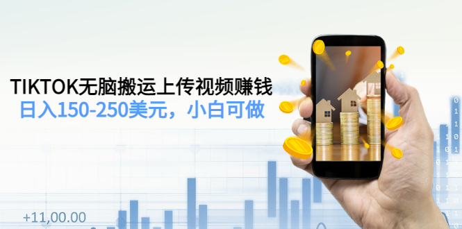 （3142期）TIKTOK无脑搬运上传视频赚钱，日入150-250美元，小白可做（2节视频课）-副业宝典