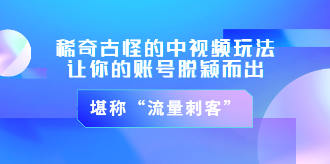 （3159期）稀奇古怪的中视频玩法，让你的账号脱颖而出，堪称“流量刺客”（图文+视频)-副业宝典