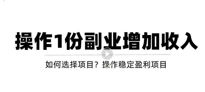 （3217期）新手如何通过操作副业增加收入，从项目选择到玩法分享！【视频教程】-副业宝典