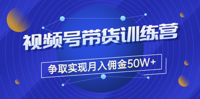 （3235期）收费4980的《视频号带货训练营》争取实现月入佣金50W+（课程+资料+工具）-副业宝典