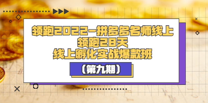 （3370期）领跑2022-拼多多名师线上领跑28天，线上孵化实战爆款班（第九期）-副业宝典