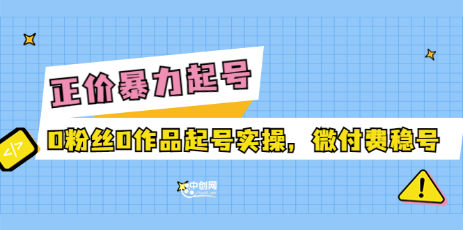 （3377期）正价暴力起实操号：0粉丝0作品起号实操，微付费稳号-副业宝典