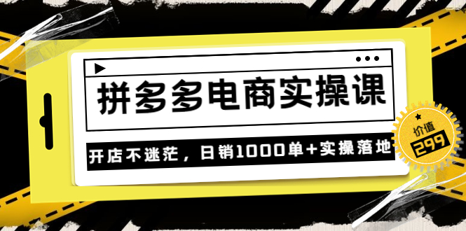 （3381期）《拼多多电商实操课》开店不迷茫，日销1000单+实操落地-副业宝典