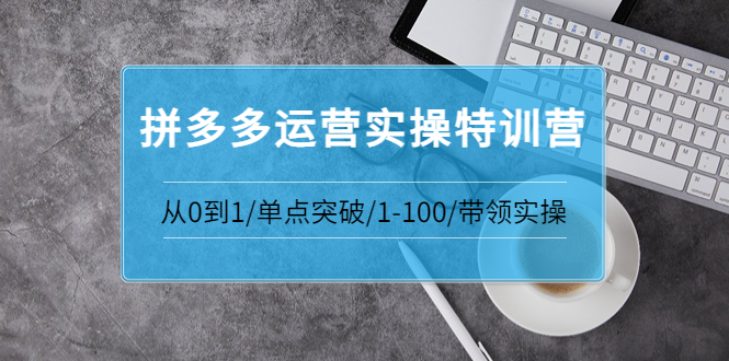 （3417期）青云:拼多多运营实操特训营：从0到1/单点突破/1-100/带领实操-副业宝典