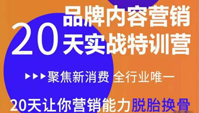 （3461期）《内容营销实操特训营》20天让你营销能力脱胎换骨（价值3999）-副业宝典