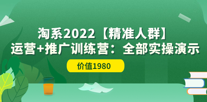 （3516期）淘系2022【精准人群】运营+推广训练营：全部实操演示-副业宝典