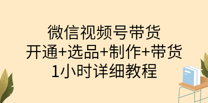 （3515期）陈奶爸·微信视频号带货：开通+选品+制作+带货（1小时详细教程）-副业宝典