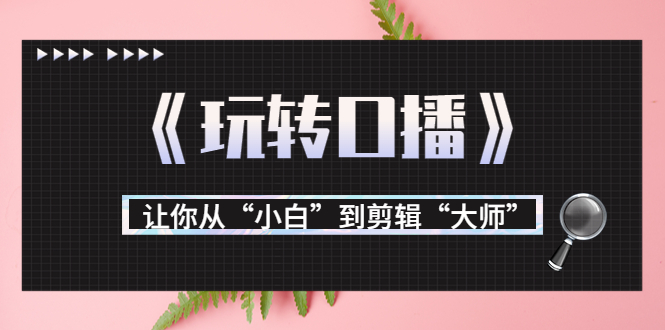 （3571期）月营业额700万+大佬教您《玩转口播》让你从“小白”到剪辑“大师”-副业宝典