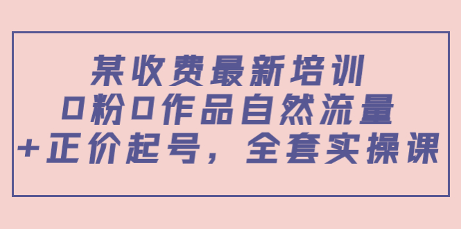 （3648期）某收费最新培训：0粉0作品自然流量+正价起号，全套实操课！-副业宝典