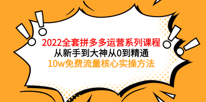 （3654期）2022全套拼多多运营课程，从新手到大神从0到精通，10w免费流量核心实操方法-副业宝典