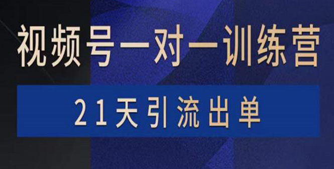 （3678期）视频号训练营：带货，涨粉，直播，游戏，四大变现新方向，21天引流出单-副业宝典