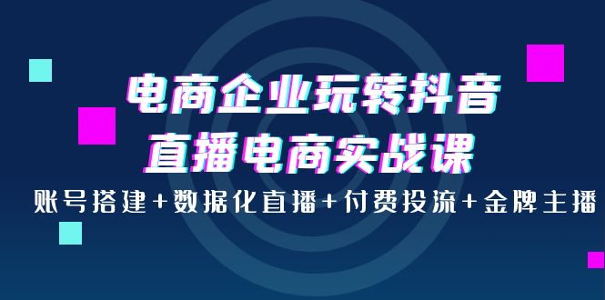 （3784期）电商企业玩转抖音直播电商实战课：账号搭建+数据化直播+付费投流+金牌主播-副业宝典