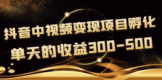 （3794期）黄岛主《抖音中视频变现项目孵化》单天的收益300-500 操作简单粗暴-副业宝典