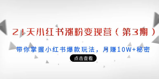 （3795期）21天小红书涨粉变现营（第3期）：带你掌握小红书爆款玩法，月赚10W+秘密-副业宝典