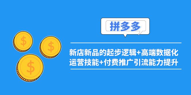 （3824期）2022拼多多：新店新品的起步逻辑+高端数据化运营技能+付费推广引流能力提升-副业宝典