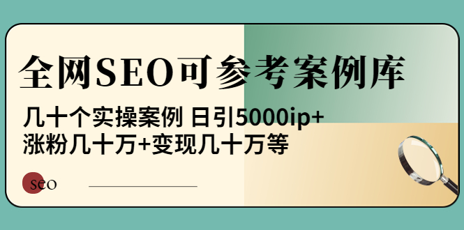 （3834期）《全网SEO可参考案例库》几十个实操案例 日引5000ip+涨粉百W+变现几十W等!-副业宝典