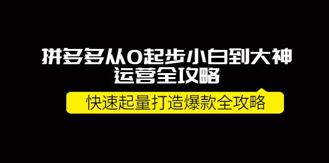 （3884期）拼多多从0起步小白到大神运营全攻略，快速起量打造10W+爆款全攻略！-副业宝典