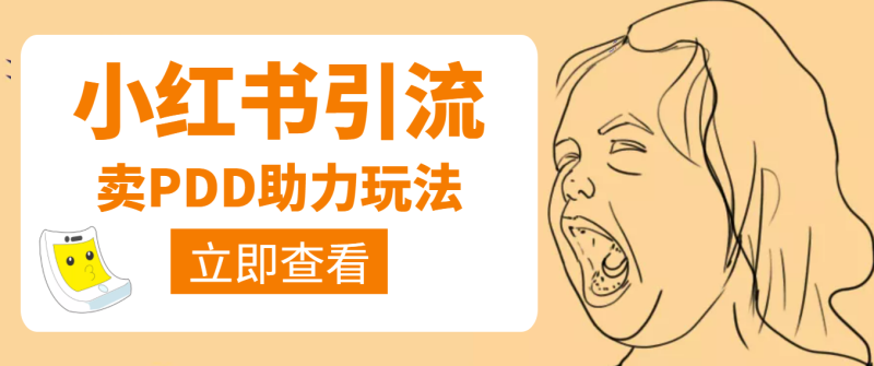 （3890期）利用小红书卖拼多多助力，日赚100+，顺便还能引个流【视频课程】-副业宝典