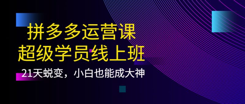 （3929期）拼多多运营课：超级学员线上班，21天蜕变，小白也能成大神-副业宝典