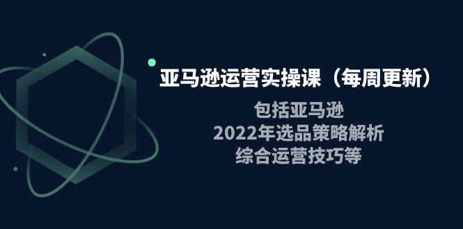 （3955期）亚马逊运营实操课（每周更新）包括亚马逊2022选品策略解析，综合运营技巧等-副业宝典