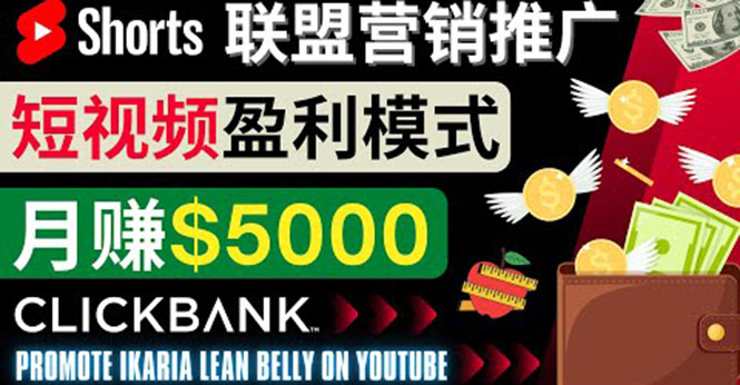 （3969期）通过Youtube Shorts推广联盟营销商品，月赚5000美元 方法和技巧-副业宝典