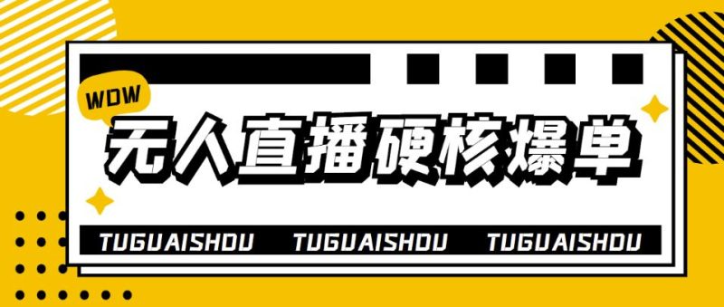 （3980期）大飞无人直播硬核爆单技术，轻松玩转无人直播，暴利躺赚-副业宝典