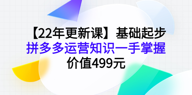 （3963期）【22年更新课】基础起步，拼多多运营知识一手掌握，价值499元-副业宝典