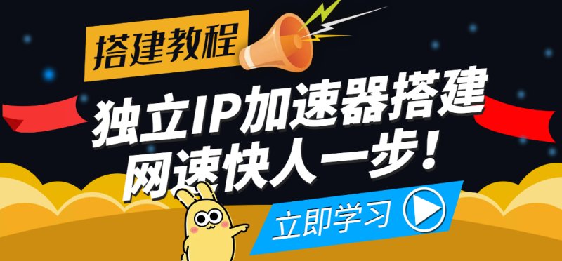 （3996期）【独立IP搭建教程】SOCK5-IP搭建制作详细流程，散人工作室必备技能-副业宝典