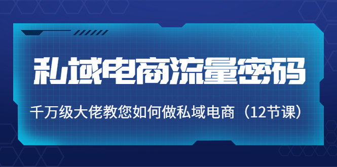 （3977期）私域电商流量密码：千万级大佬教您如何做私域电商（12节课）-副业宝典