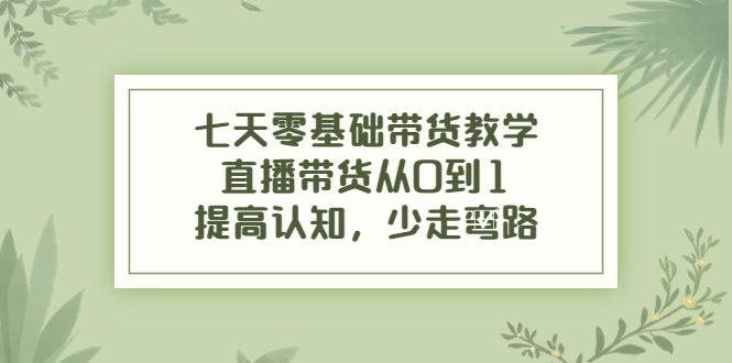 （3986期）七天零基础带货教学，直播带货从0到1，提高认知，少走弯路-副业宝典