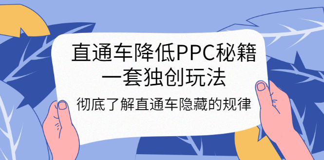 （3013期）直通车降低PPC秘籍，一套独创玩法：彻底了解直通车隐藏的规律-副业宝典