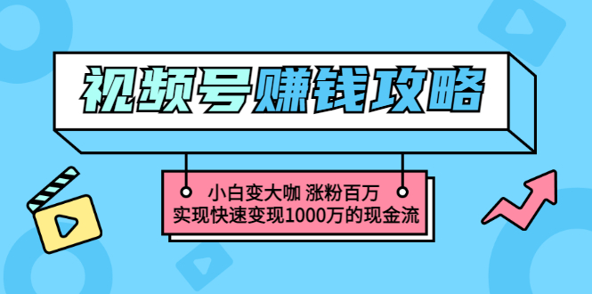 （3020期）玩转微信视频号赚钱：小白变大咖 涨粉百万 实现快速变现1000万的现金流-副业宝典